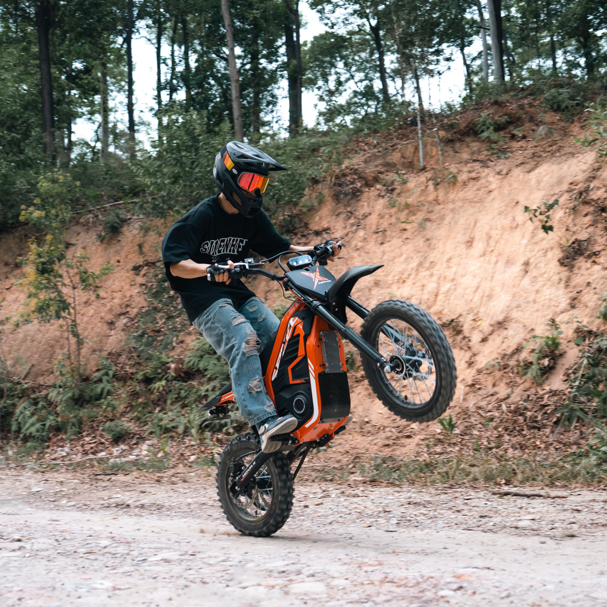 Fadify® NOVA X 4000W Electric Dirt Bike