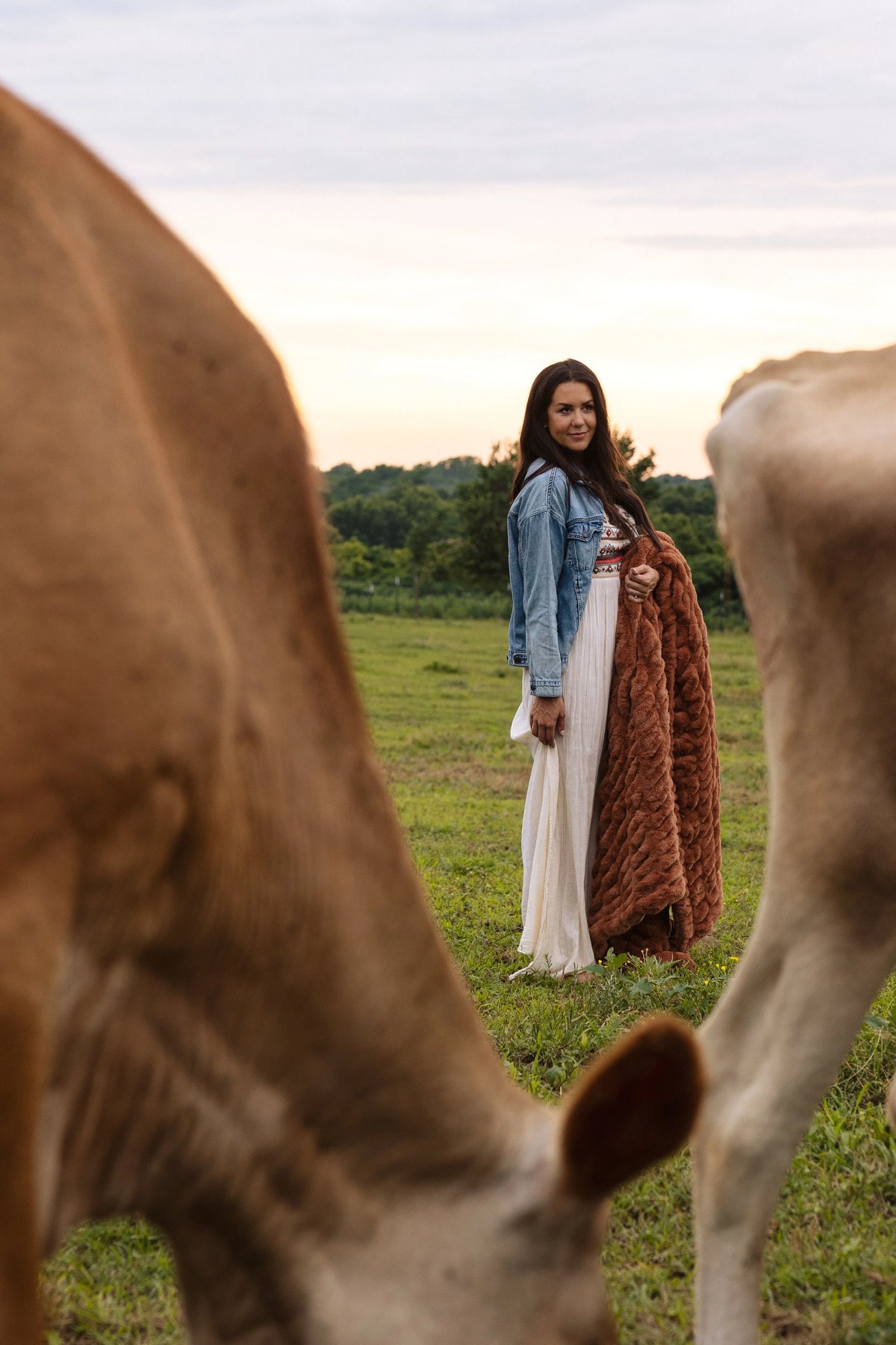 Luxury Faux Fur Blanket Jersey Brown