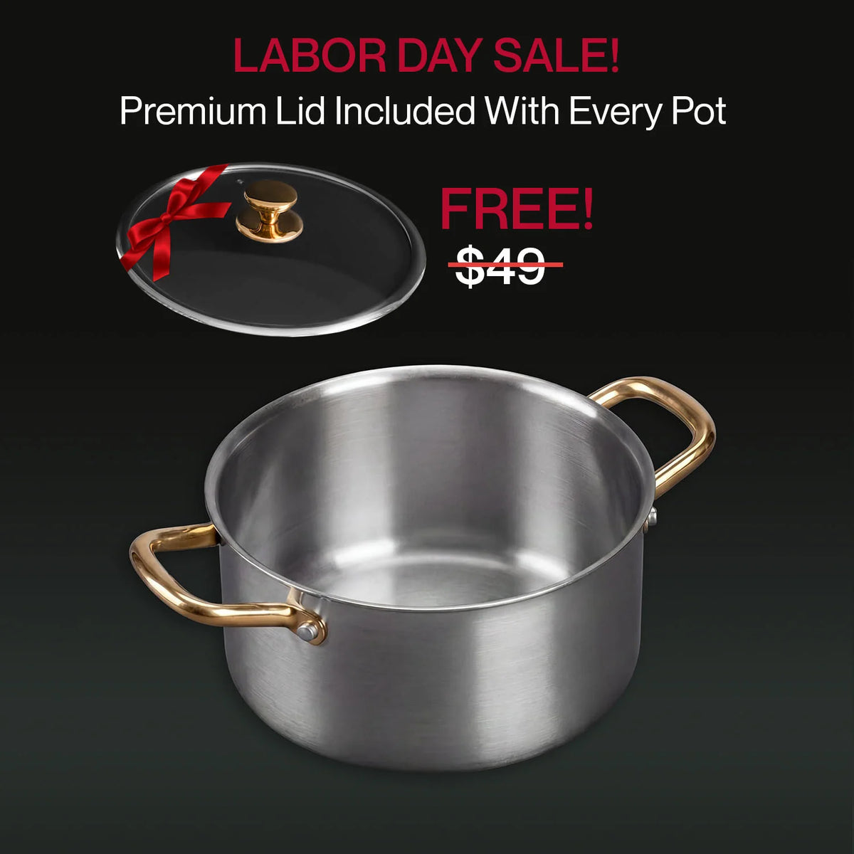 Pure Titanium Nutri Pot Pro
